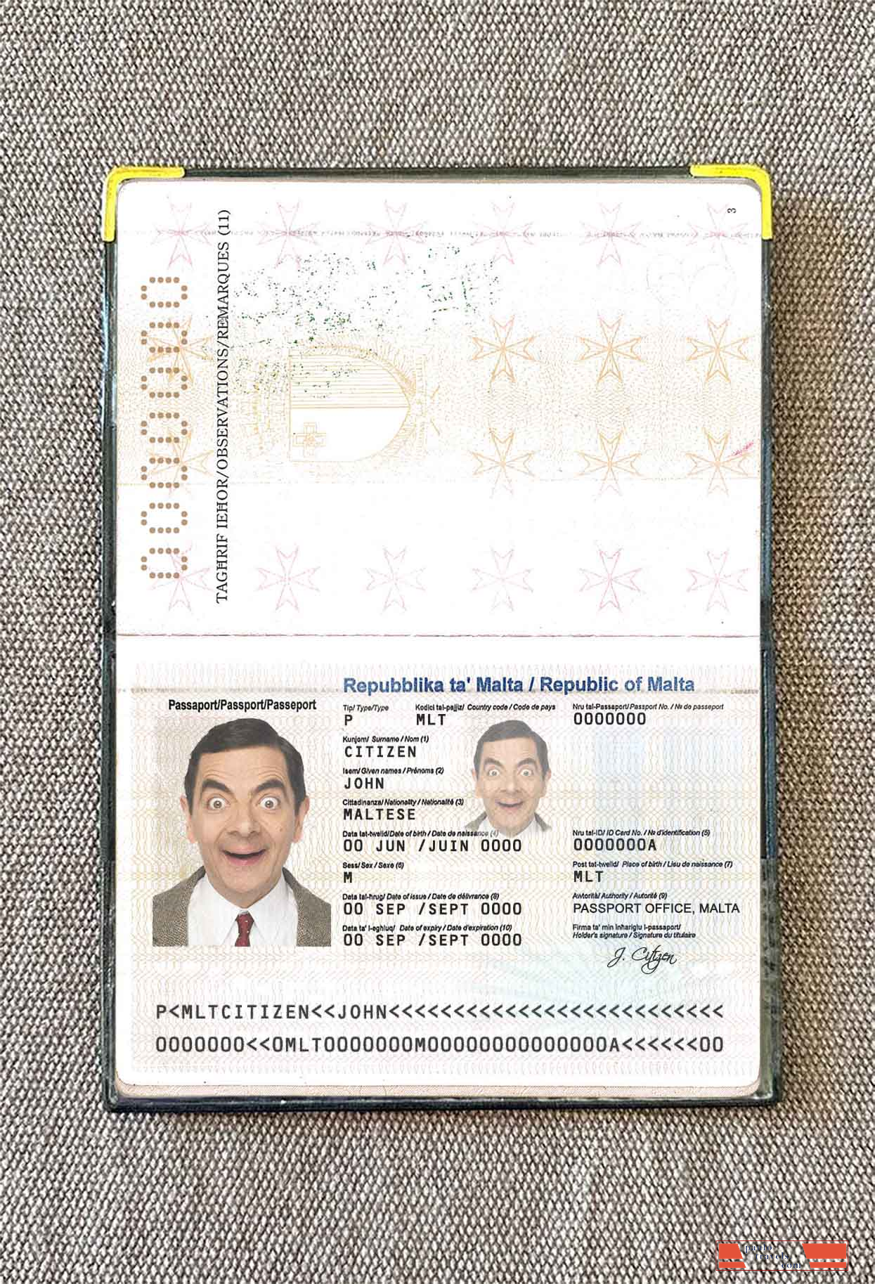 Malta passport photo look PSD template